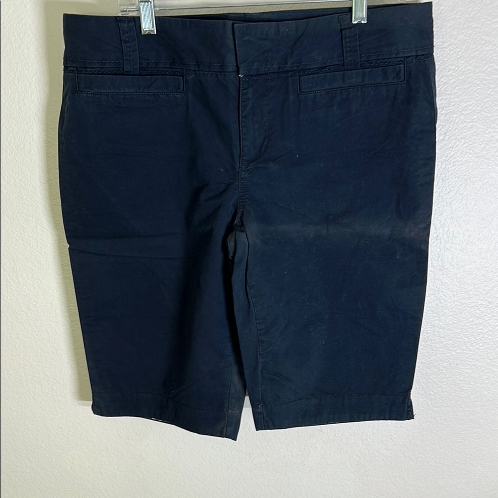 Old Navy Blue Flat Front Shorts